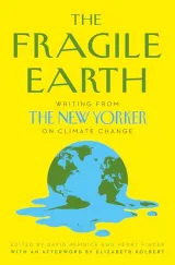 Fragile Earth: Writing from the New Yorker on Climate Change by David Remnick & Henry Finder