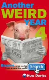 Another Weird Year by Huw Davies