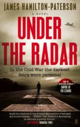 Under the radar by James Hamilton-Paterson