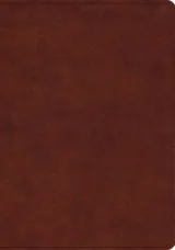 ESV Study Bible (TruTone, Chestnut) by ESV
