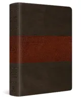 ESV Study Bible, Personal Size by Esv Esv Bibles, Esv Bibles