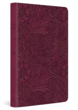 ESV Value Thinline Bible (TruTone, Raspberry, Floral Design) by Esv Bibles