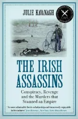 Irish Assassins, The by Julie Kavanagh