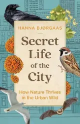 Secret Life of the City by Hanna Hagen Bjrgaas, Matt Bagguley